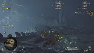 Monster Hunter Wildsストーリー_クソ個体護竜オドガロン亜種[約3分シャトルラン]