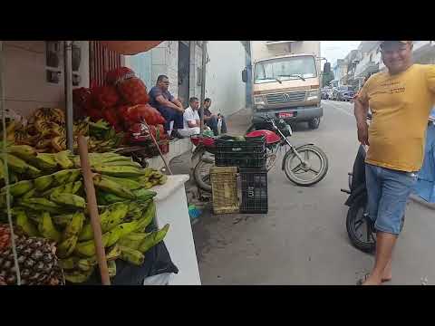 Feira livre de pombos Pernambuco 