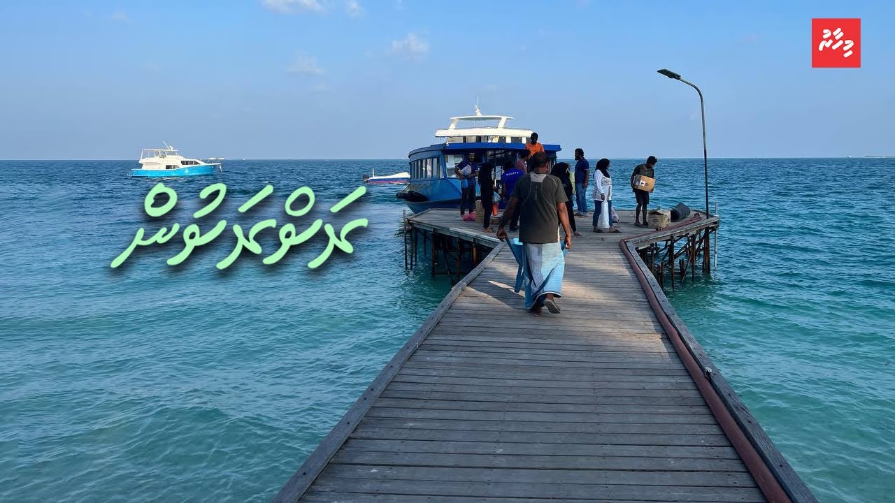 އެކަހެރި މަންދޫ: ވިދުން ގެނެވޭނެ ކޮންސެޕްޓެއް
