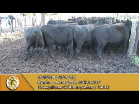 20-04-17 Venta de Vientres - Jauregui Lorda S.R.L. - Ranchos