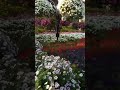 Dubai Miracle Garden With Beautiful Tilawat