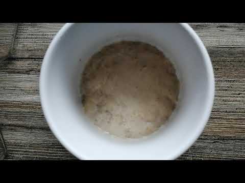 Házilag szárított élesztő felfuttatása