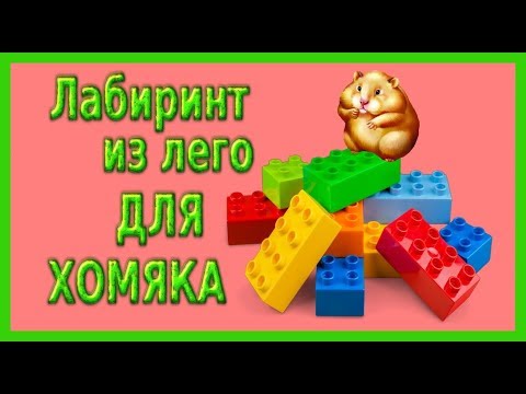 Хомколэнд!Хомяк сбежал! #хомяксбежал#
