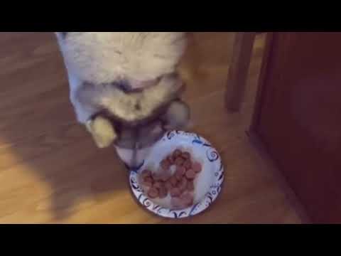 Awoooo - Behind the scenes