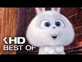 Best Of Snowball 2016 The Secret Life Of Pets