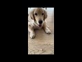 Throwback Video Clips
