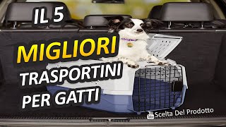 Migliori Trasportini Per Gatti 2024