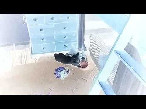 Attack of the dementors