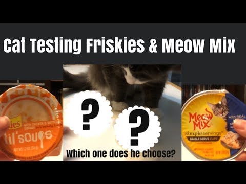 Cat Taste Testing Friskies lil Soups VS Meow Mix Simple Servings - Pet Mukbang
