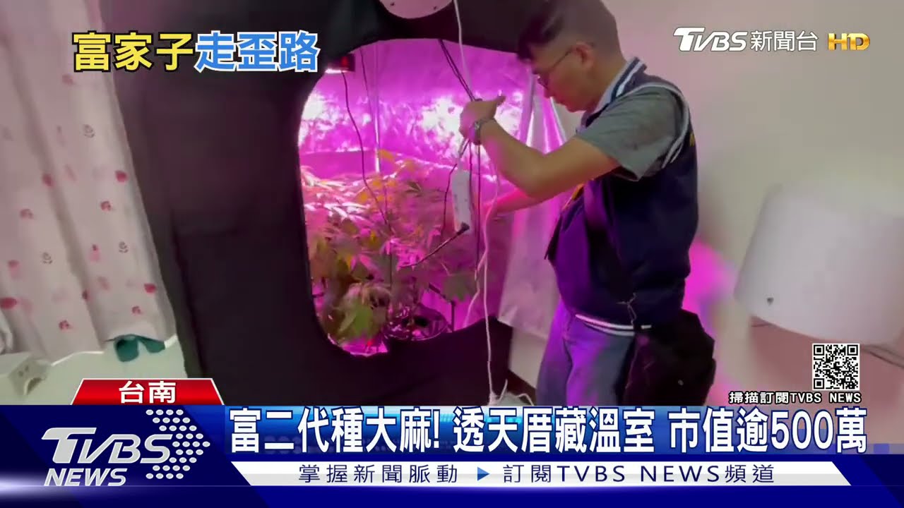 富二代種大麻!透天厝藏溫室 市值逾500萬