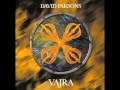 David Parsons - Masked Dancer