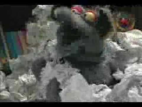 Ratasura aprende a reciclar papel - Arcandina