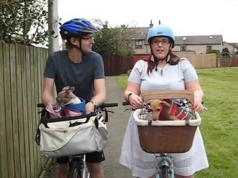 download lagu mp3 mp4 Solvit Bike Basket, download lagu Solvit Bike Basket gratis, unduh video klip Solvit Bike Basket
