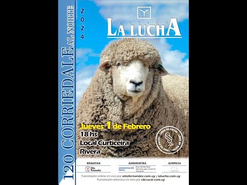 01/02/2024  Cabaña La Lucha , Otto Fernandez- Local Curticeiras - Rivera