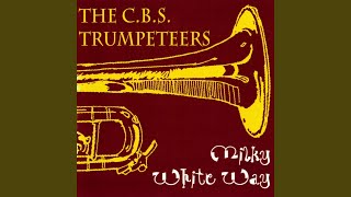 Music video thumbnail preview for New Birth (One Day I Was Walking) by The Trumpeteers