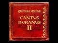 Corvus Corax Custodes Sunt Raptores Cantus ...