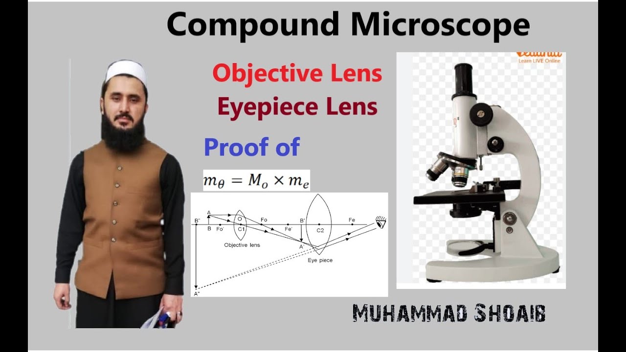 Compound Microscope