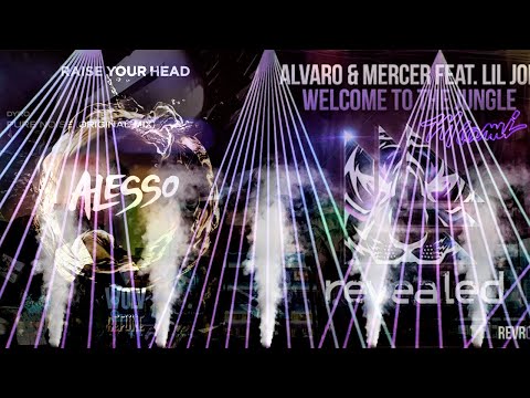 Pure Noise vs. Raise Your Head vs. Welcome To Miami (Hardwell Ultra Miami 2015 Mashup)