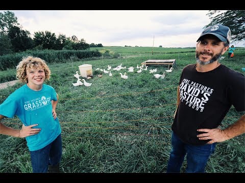 How To QUIT Your JOB & Start A Farm - For $600