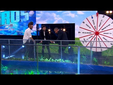 Especial Perros - Programa 15/04/16