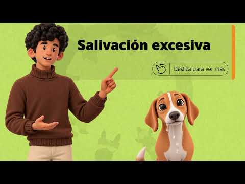 Marcos Juárez: ¿Cómo identificamos un animal con rabia? Prevención