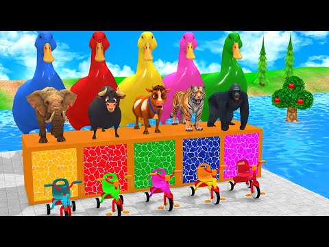 Long Slide Game with Cow Elephant Gorilla Hippopotamus Tiger 3d Animal Game Funny 3d Animals