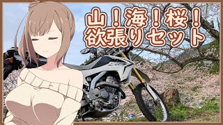 [ボイチェビ車載] これはツーリングですか？はい、タカささです。 山梨と静岡と桜編