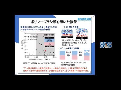 高分子ブラシとブロック共重合体を利用した分子面ファスナー