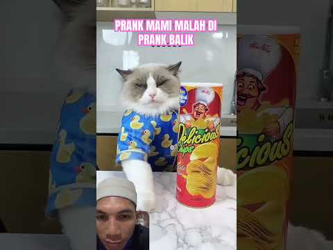Kena prank kan #funny #trendingshorts #trending #shortvideo #react #cat #prank #shorts
