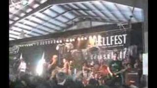 evergreen terrace  - knowledge