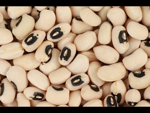 Black-Eyed Peas 101-How to Prepare Dried Peas