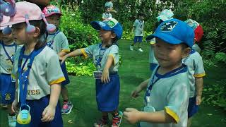 Field Trip at Bangkok Butterfly Garden and Insectarium