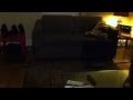 Mouse Hunt 2012