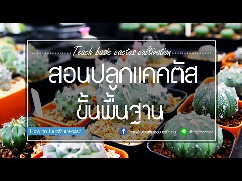 รักษากลากจีน Psorikon โรคสะเก็ดเงิน