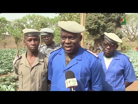 Rtb - Market gardening at the Bobo Dioulasso House of Arrest and Correction