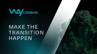 WayCarbon YouTube Video