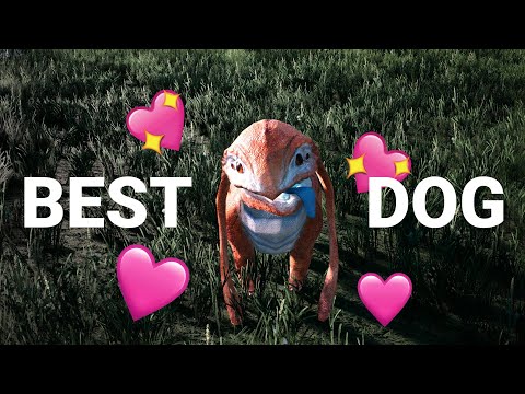 who is best doggo?