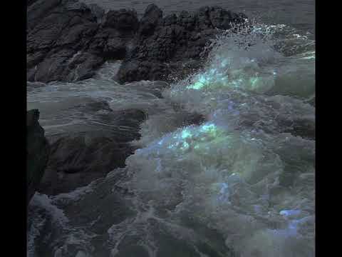 ISLURWHENITALK! - * LUXI414 * VAMPN N KHARYXX #BITEKLUB 432hz