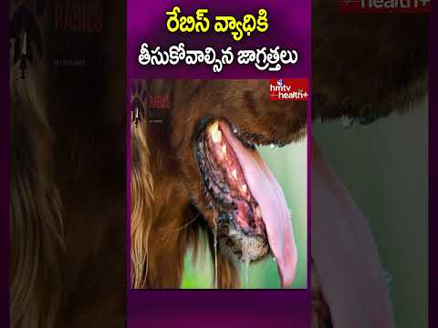 రేబిస్ వ్యాధికి తీసుకోవాల్సిన జాగ్రత్తలు |  #hmtvhealthplus #rabies #rabiesvairus #healthcare #dog