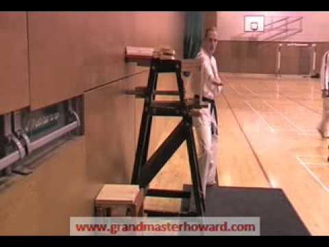 Grandmaster Howards Dojang Cabra 005