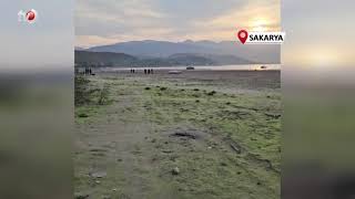 Suyun Olduğu Yerde İnsanlar Mangal Yapıyor