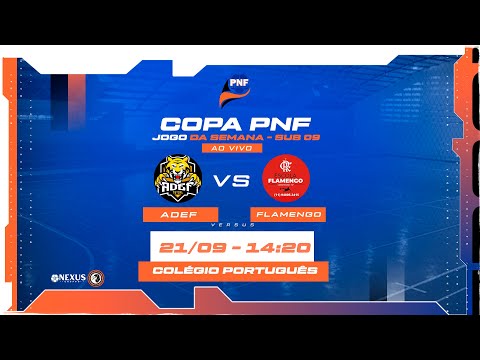 🎥 COPA PNF -  Região Oeste SP | ADEF  X  FLAMENGO  | SUB 09