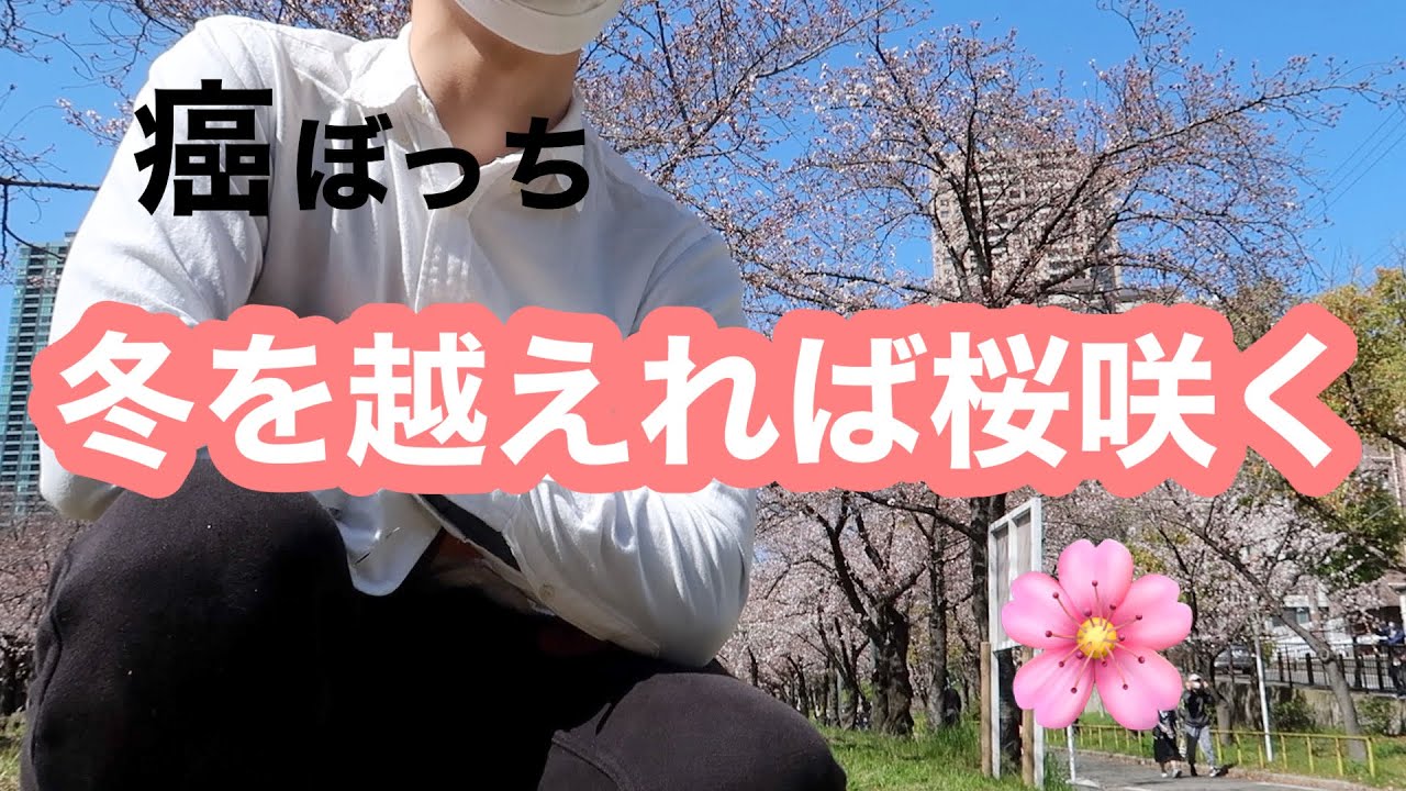 癌ぼっち。『冬を越えれば桜咲く』のか...。花見vlog