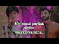 Sathiya Serial Song Zee Tamil Whatsapp Status Lyrics Vedio