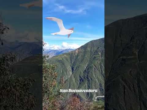 SAN BUENAVENTURA vista al Río Marañon