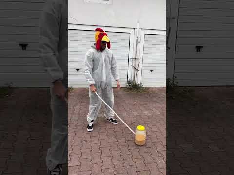 This video deserves an Oscar wow#short#short#jamal.jamael