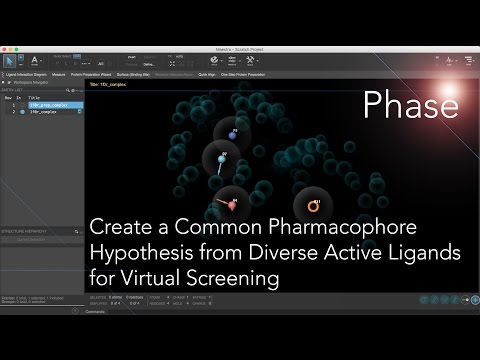 Create a Pharmacophore Hypothesis - From Diverse Active Ligands for Virtual Screening