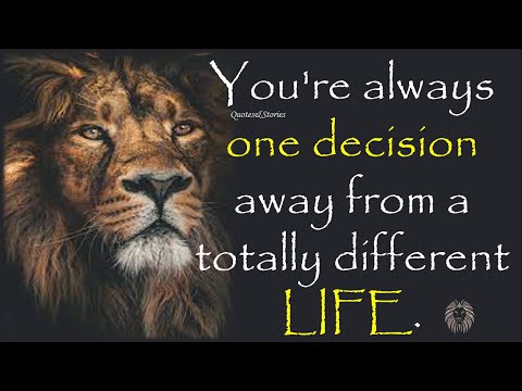 Lion's Wisdom | The Power of Lion Attitude | Be a Lion  | Powerful Quotes for Strong Life #quotes