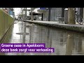 Een beek door Apeldoorn heeft veel voordelen