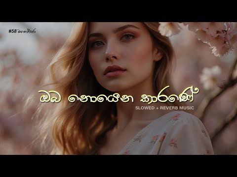 ඔබ නොයෙන කාරණේ | Oba Noena Karane - Nadeera Nonis (Slowed + Reverb) #relaxingmusic #manopara #music
